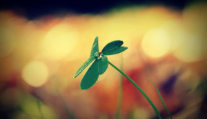 东契奇砍下分，斯洛文尼亚男篮力克意大利