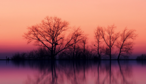 荷兰惊险胜出克罗地亚，欧洲杯预选赛激战连连