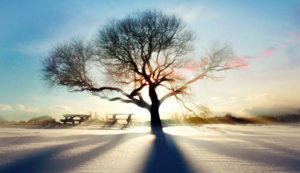 队内矛盾升级，主帅面临球员团结挑战